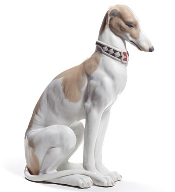 pensive greyhound